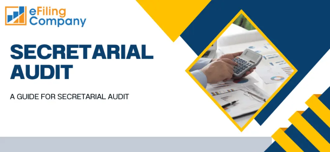 Secretarial Audit Guide-Efiling Company